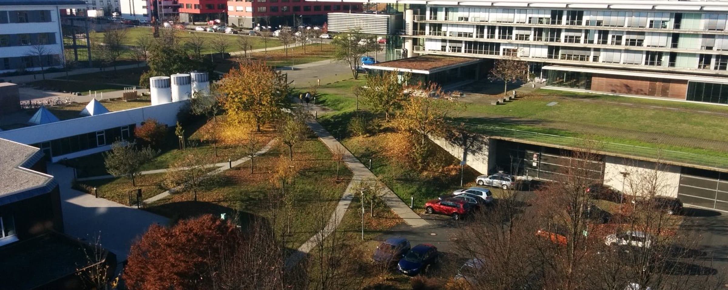 Goethe University Frankfurt campus