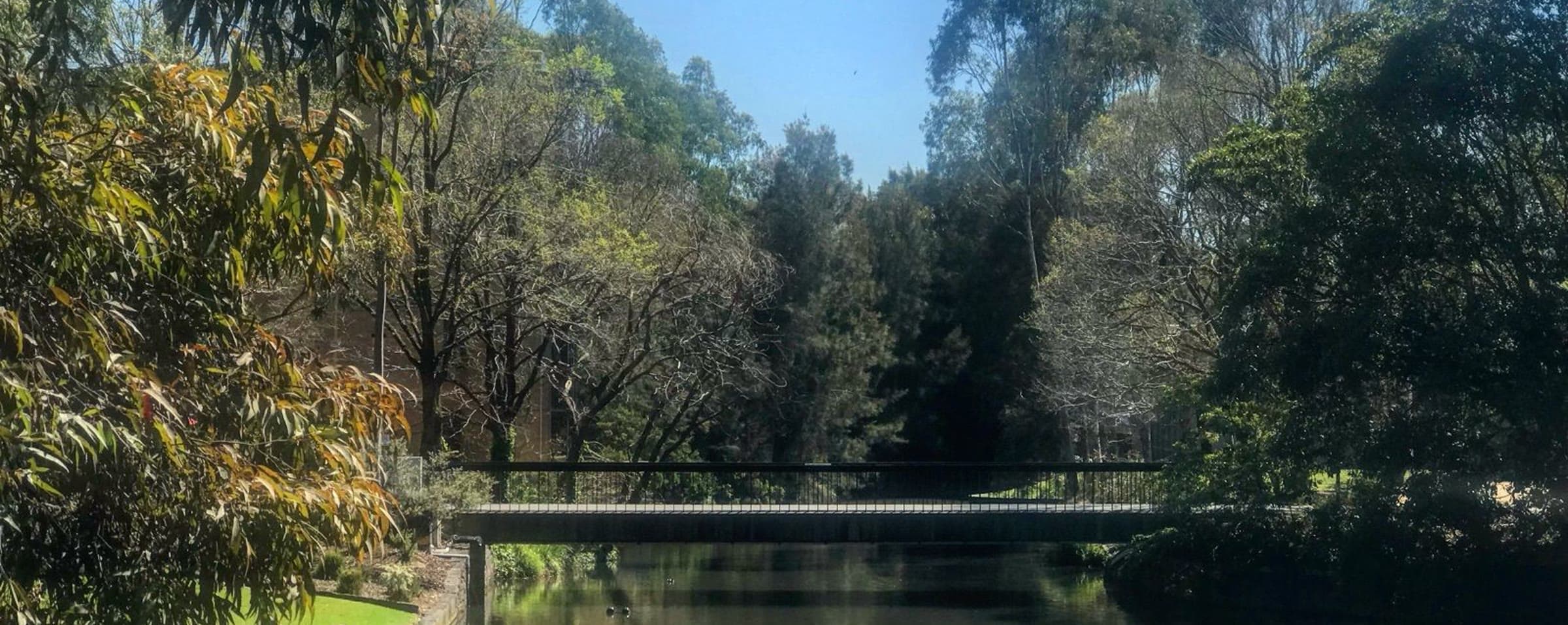 La Trobe University campus