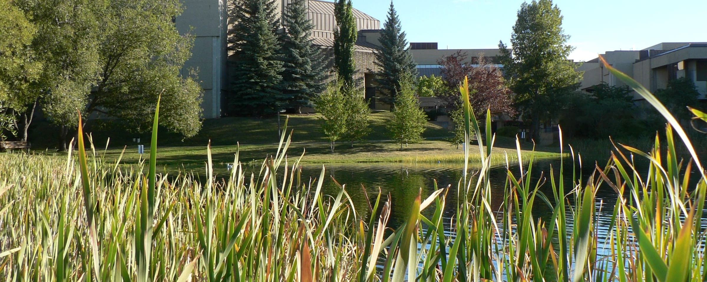 Mount Royal University campus