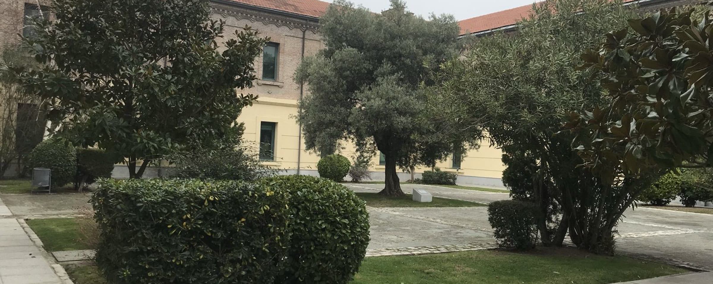 Universidad Rey Juan Carlos campus