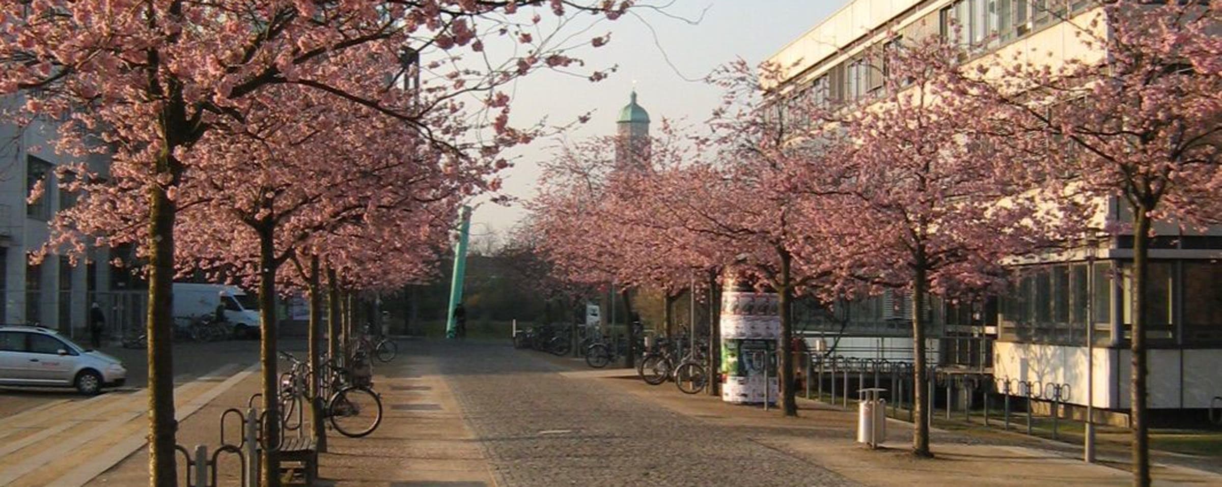 University of Göttingen campus
