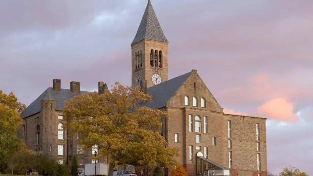 cornell university-usa